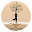 classicyoga.co.in