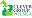 clevergroup.pl