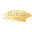cloud9d.com