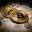cloudtokenwallet.com