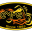 cmmg.org