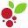cmy.network