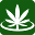 cnbs.org