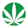 cnbs.pl