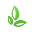 cnginterstate.com