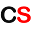 cnspainters.com