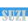 cnsuzi.com