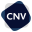 cnv.gov.py