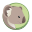 coala.io