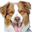 coastalpet.com