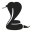 cobranetworks.lat