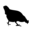 cocottes.lu
