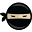 code.ninja