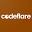 codeflarelimited.com