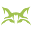 codelynx.com