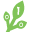 codetolearn.ca