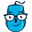 codewizfranchise.com