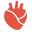 codexanatomy.com