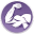 codify.in