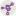 coding.social