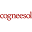 cogneesol.com
