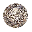 coins.online