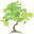 coldspringdesign.com
