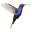 colibri.ru
