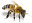 coloradobeekeepers.org
