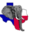 comalcountygop.org