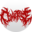 comatosemusic.com
