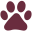 companion-vets.com