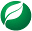 consiliumdesign.com