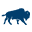 coolbison.co.uk