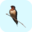 coq.qc.ca