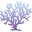coral-garden.de