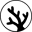coralguardian.org