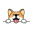 corgidoge.com