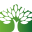 corkfloor.com
