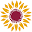 cornwallhospice.com