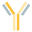corona-immunitas.ch