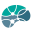 cortex.med.br