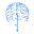 cortexinformatique.com