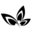 cosmomed.ae