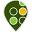 cotreeview.com