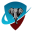 cotse.net