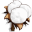 cotton.buzz