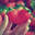 covertness.me