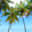 cozycovesbeach.com
