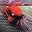 crayfish.blog
